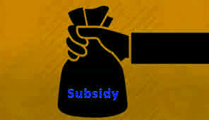 Subsidy